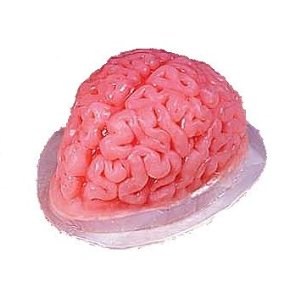 Brain Jello1