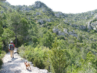 サン・ギエムの森 forêt domaniale de la commune de Saint-Guilhem-le-Désert 