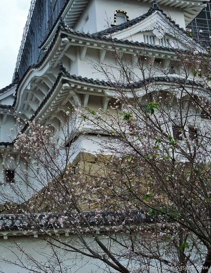 DSCF1026