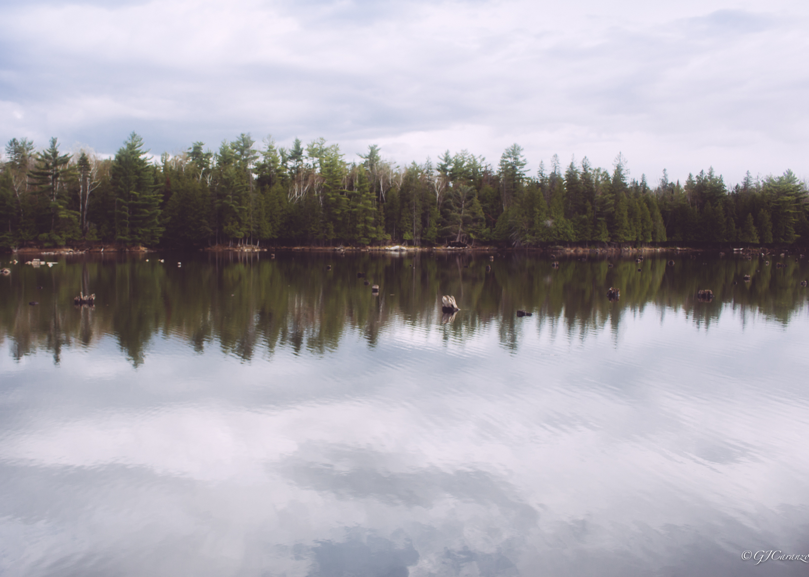 Morris Island Conservation Area