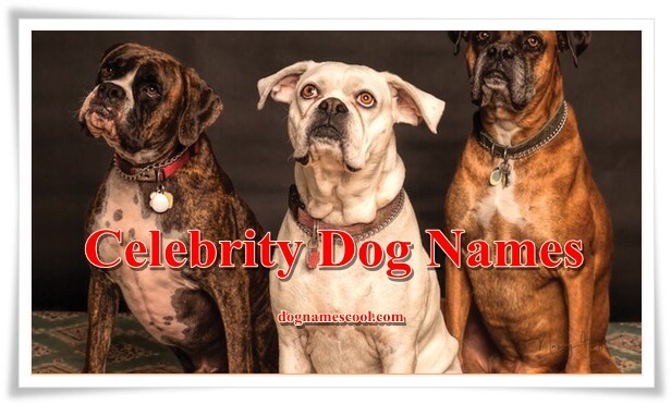 celebrity dog names