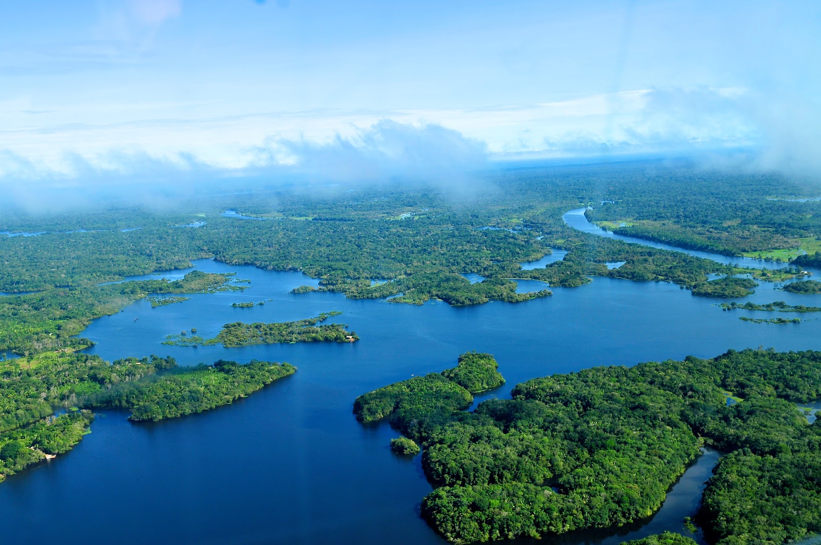 10 Hutan  Terbesar  dan Terluas di Dunia Saat Ini 