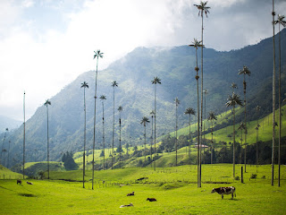 Gambar Pemandangan Alam yang Indah