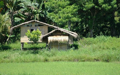 A traditional bahay kubo