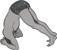 Shirshasana Step 2