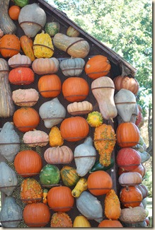 more gourds