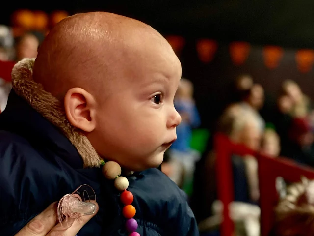 A 9 month old baby staring towards a show