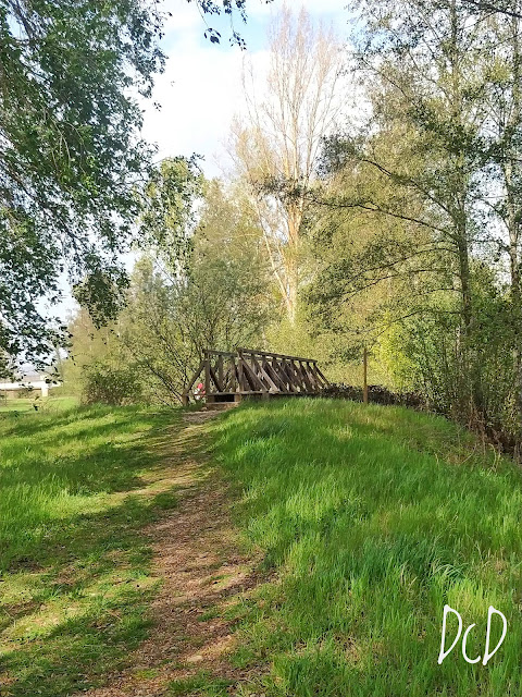 Carrizo de la Ribera a orillas del Órbigo