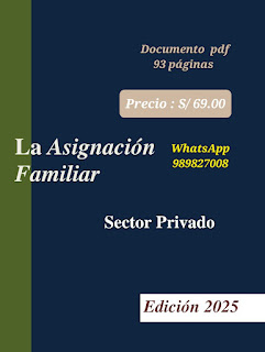 Manual  la Asignación Familiar  2025