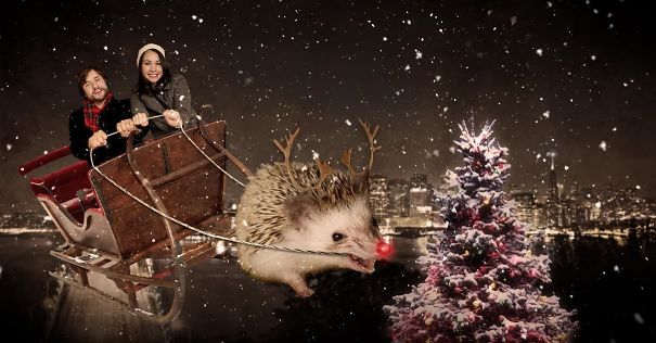 These Are The Funniest Christmas Cards We Have Ever Seen (Pictures)