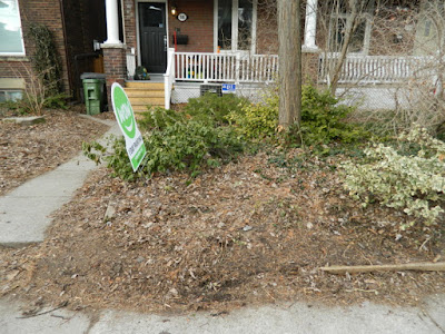 Riverdale Spring Front Yard Cleanup Before by Paul Jung Gardening Services--a Toronto Organic Gardening Company