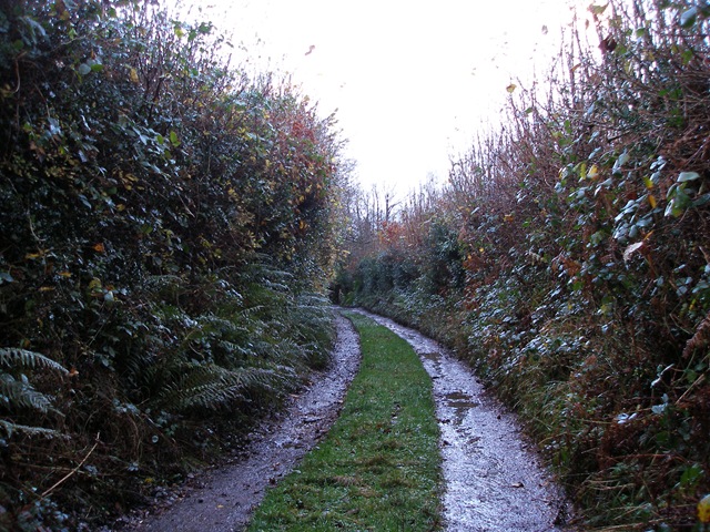 26th_november_2009
