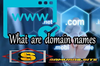 What is a domain name and what are its types