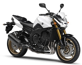 Come up with 2011 Yamaha FZ8