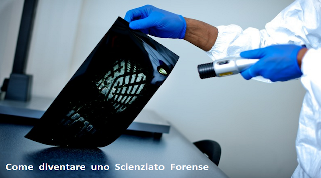 Come diventare uno scienziato forense lavoro formazione