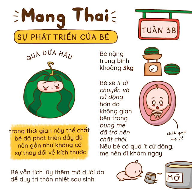 Kiến thức mang thai tuần 38