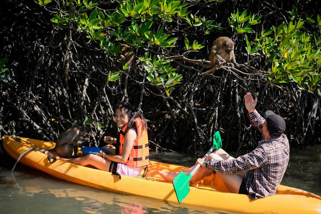 kayaking ko pak ka 