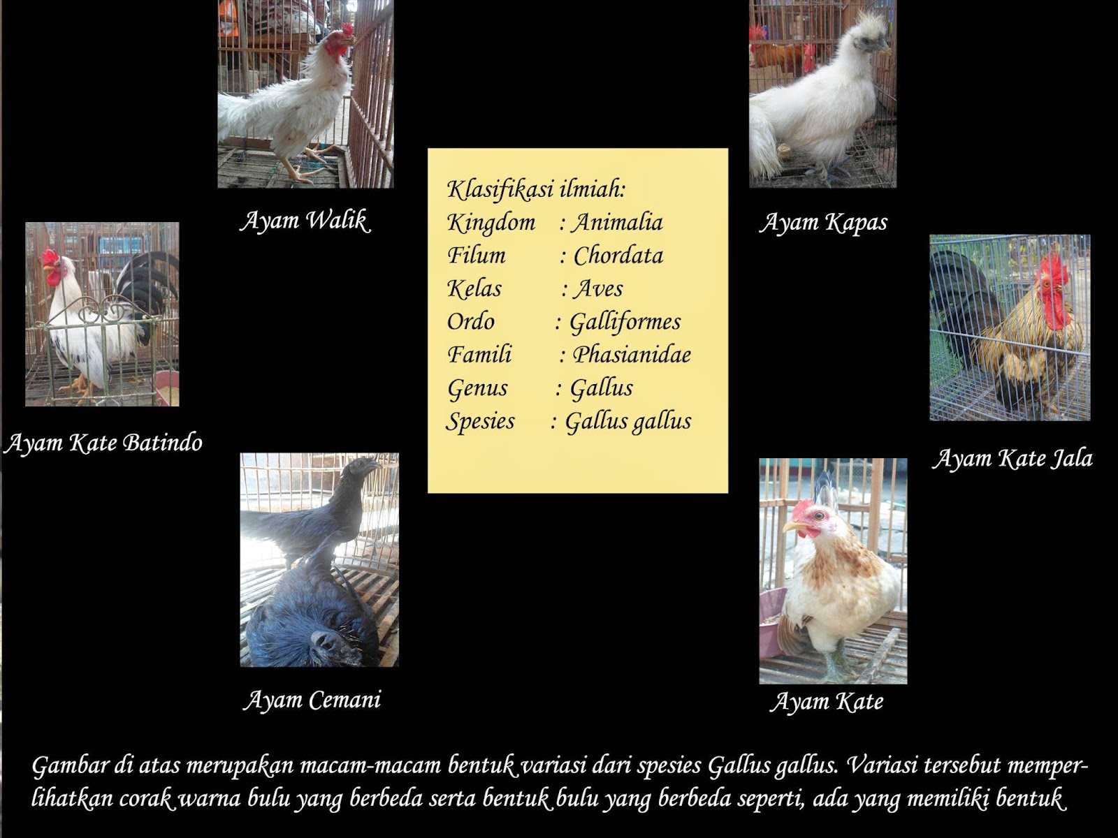 Khazanah Pengetahuan Biologi: LAPORAN OBSERVASI LAPANGAN 