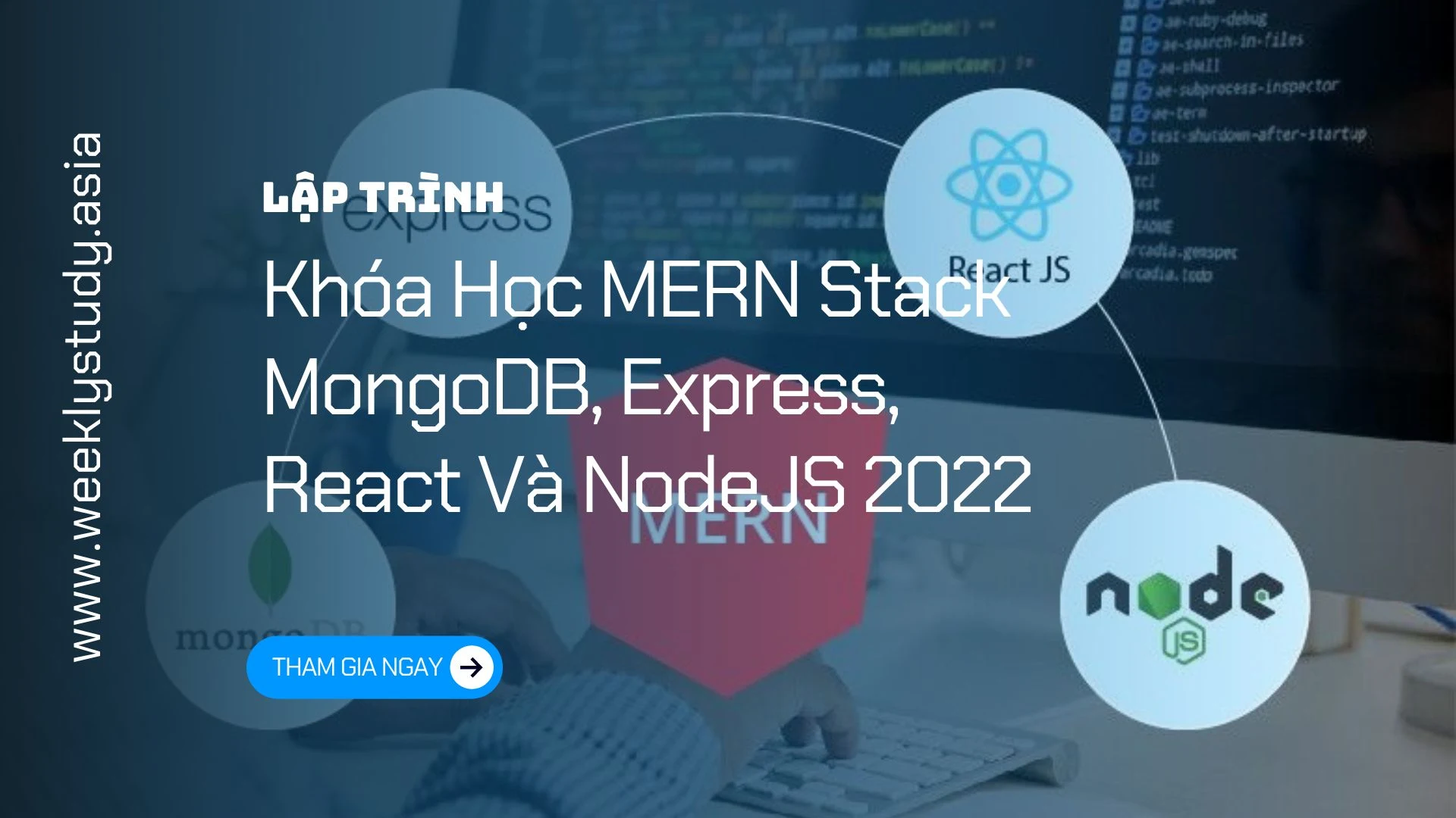 gioi-thieu-khoa-hoc-mern-stack-mongodb-express-react-va-nodejs-2022-ma-8245A