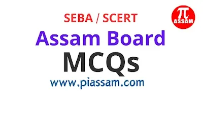 Chapter-wise MCQs