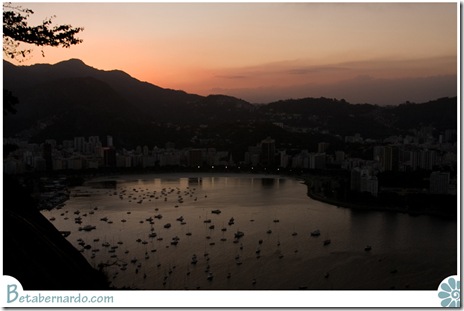 IMG_2733-1-2 copy