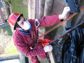 Nick Evans adjusts camera 2, having just helped scrape up many bird bones and feathers from the peregrine nest ledge