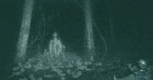 5 Film Horror Foundfootage Paling Seram Buat Nemenin Halloween