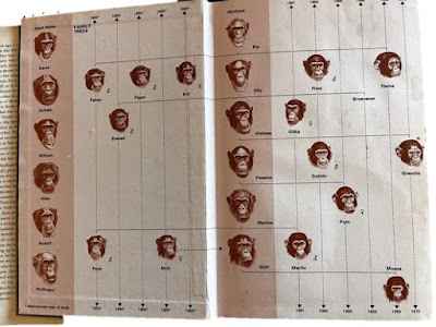 The family tree from 'In the Shadow of Man.'