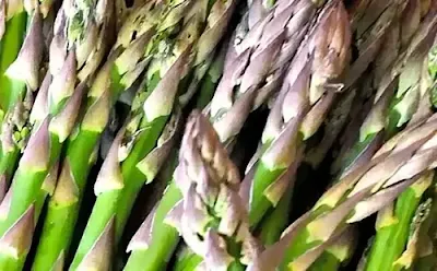 ASPARAGUS