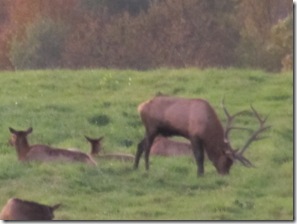 fall 2011 054