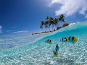 Bunaken Beach!! Bunaken National Park can reached from Manado Seaport Marina . (vista water bunaken)