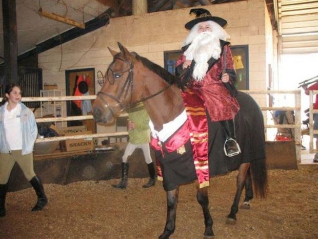 horse fancy dress