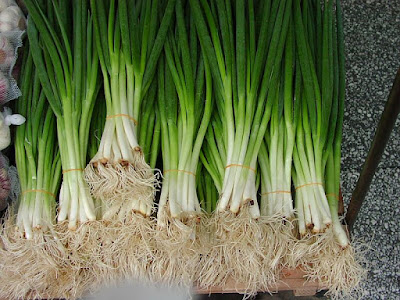 Health Benefits of Leek For Pregnant Women and Your Body