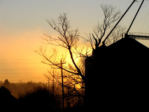 sunset silhouette