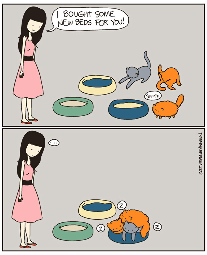 14 Funny Cartoons That Illustrate Living Alone VS Living With A Cat (Or More)