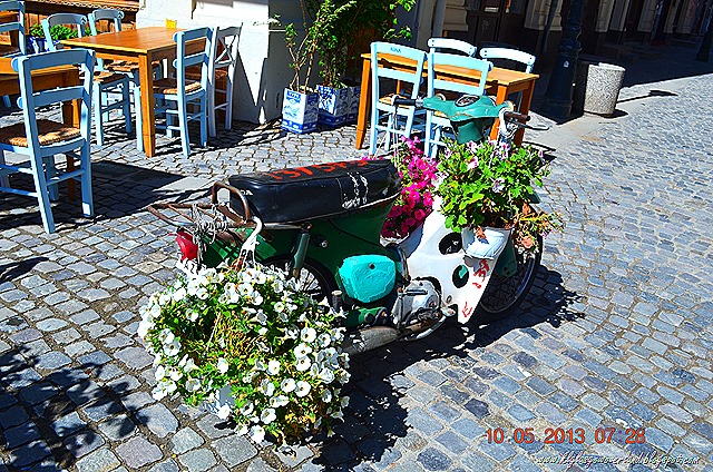 DSC_0729 DSC_0729