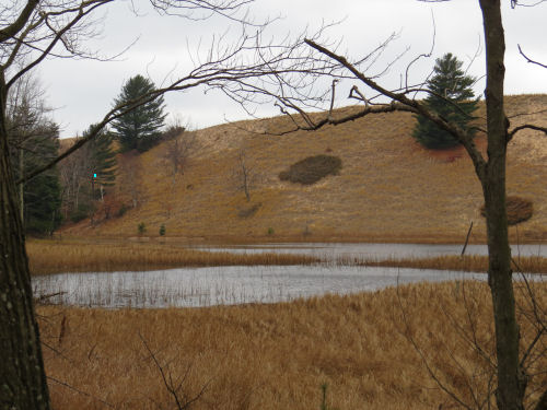 pond with sand dunes