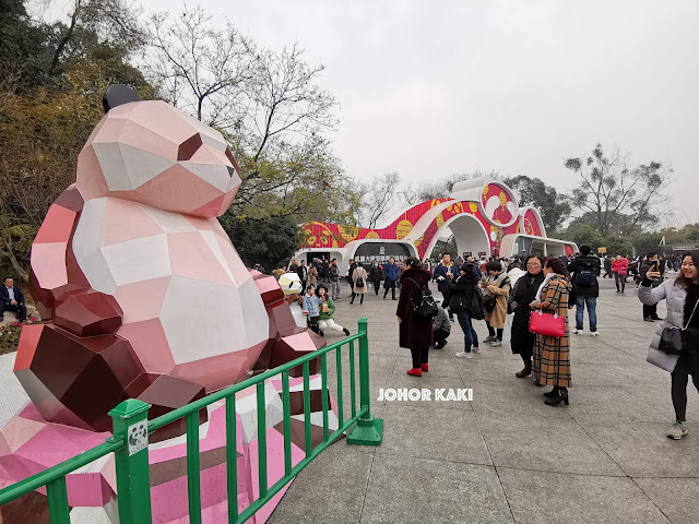 Panda in Sichuan @ Chengdu Research Base of Giant Panda Breeding 成都大熊猫繁育研究基地 🐼