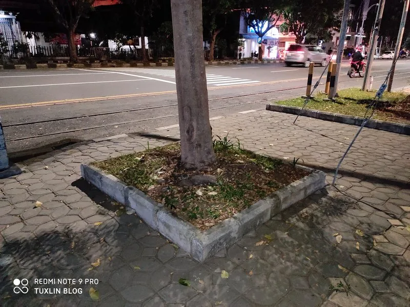 Hasil Foto Kamera Xiaomi Redmi Note 9 Pro