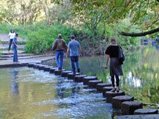 Box Hill stepping stones