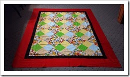 parkview habitat quilt top 2