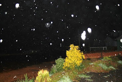 A foto mostra flocos de neve nas cidades serranas de Santa Catarina, Brasil em pleno inverno de frio intenso.