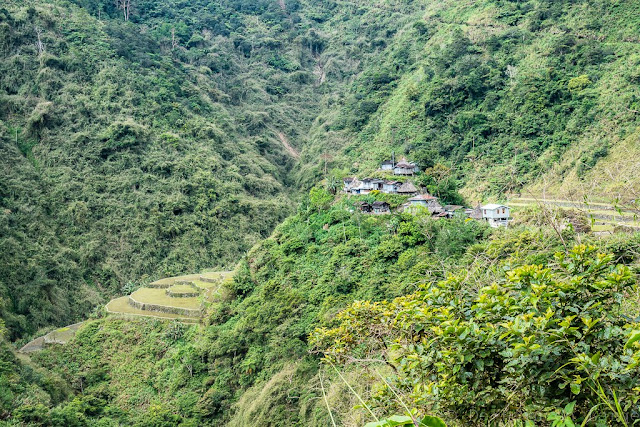 Pula-Région de l'Ifugao-Luçon-Philippines