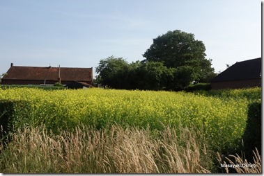 19-DSC00347