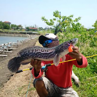 Kolam pemancingan Predator Fishing Pond Sidoarjo