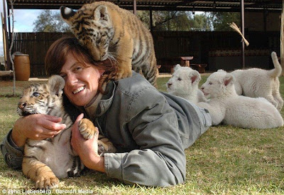 Riana van sharing her bed with eleven big cats