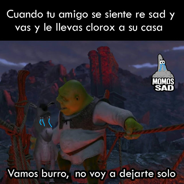 No te dejare solo