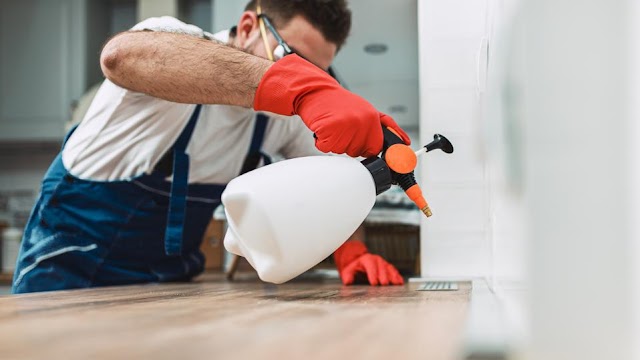 pest control service Winnipeg