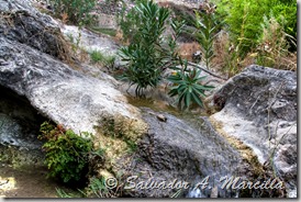 IMG_3375ab