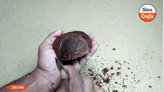 Jual batok kelapa